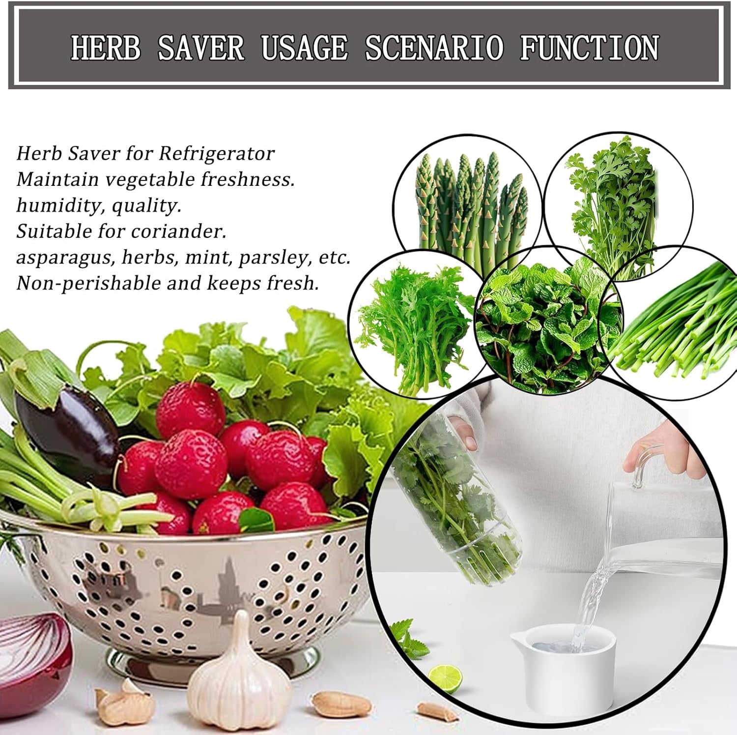GreenPod | Herb Keeper for Fridge | Fresh for 3 Weeks