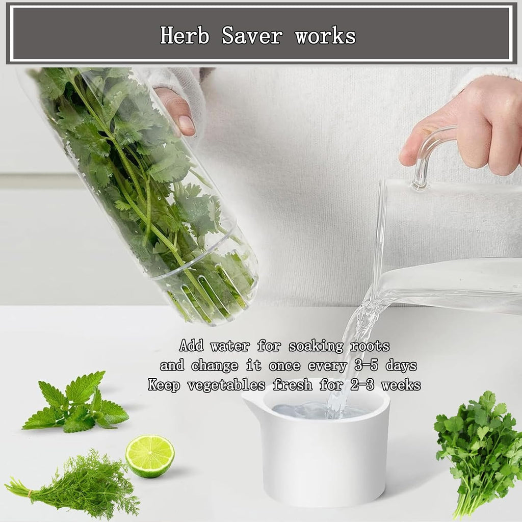 GreenPod | Herb Keeper for Fridge | Fresh for 3 Weeks