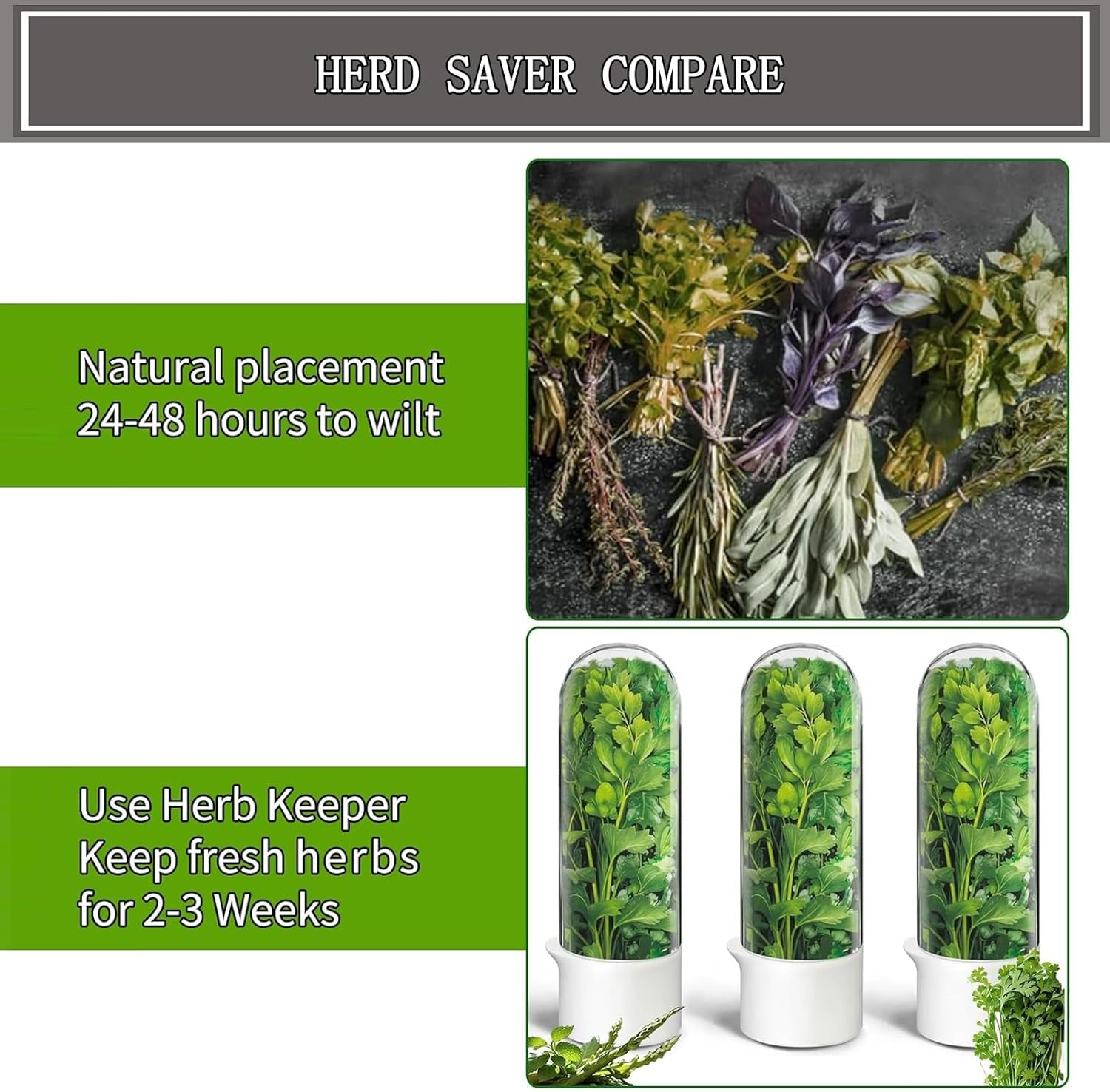 GreenPod | Herb Keeper for Fridge | Fresh for 3 Weeks