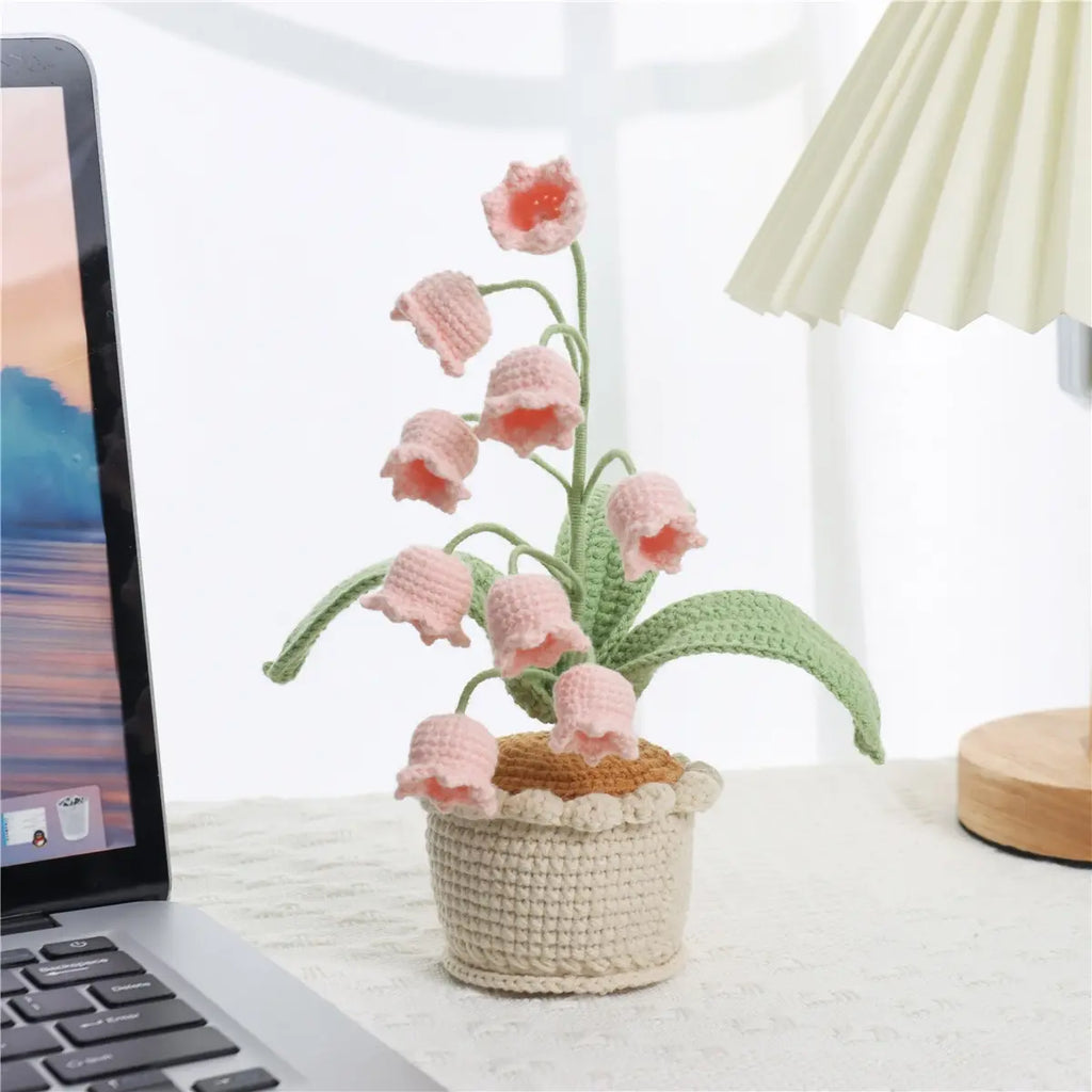 LilyBloom