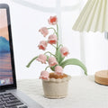 LilyBloom