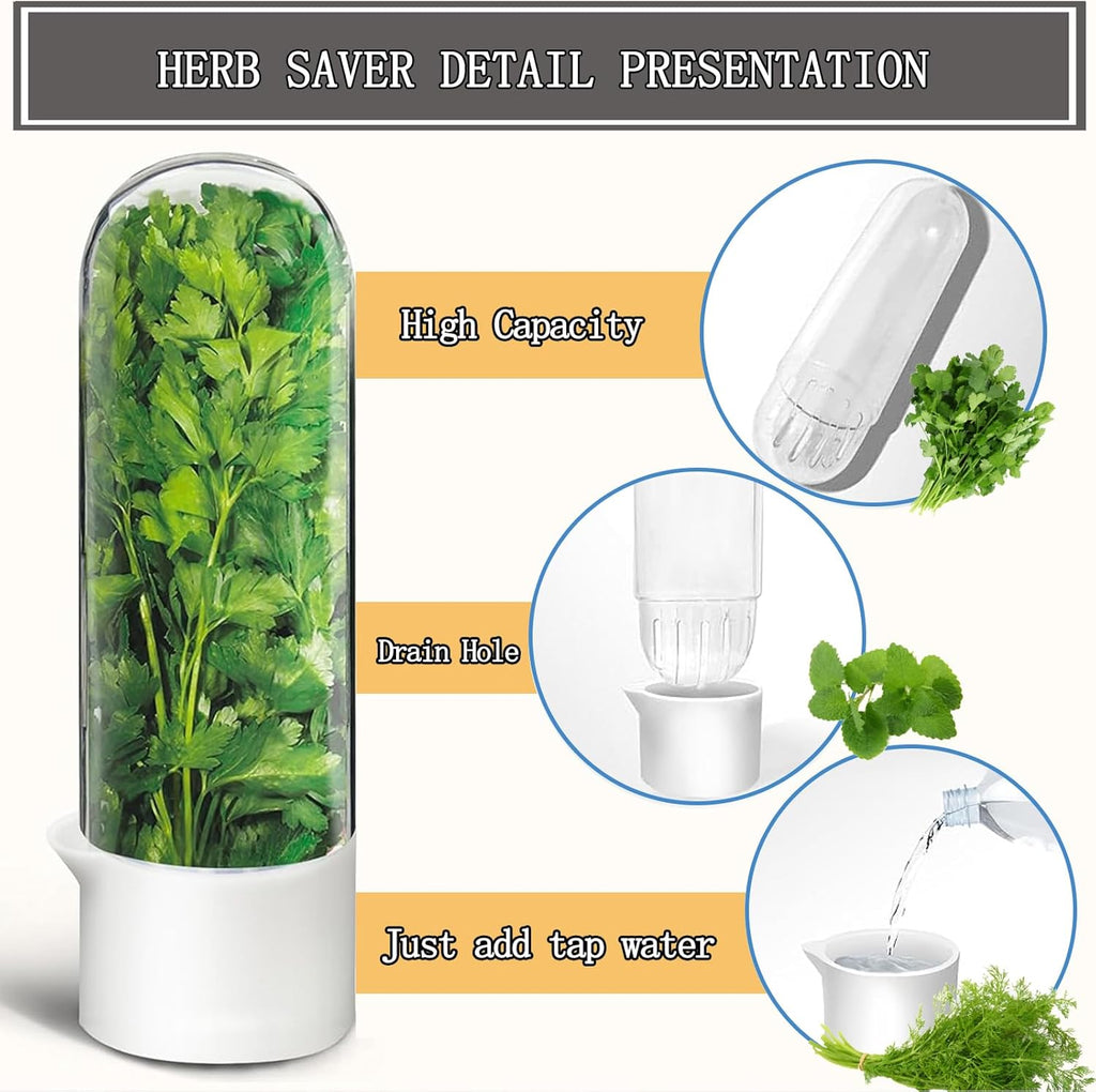 GreenPod | Herb Keeper for Fridge | Fresh for 3 Weeks
